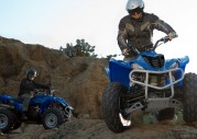Yamaha Wolverine 350 Yamaha Wolverine 350